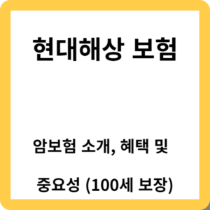 현대(Hyundai)해상 암보험 소개, 혜택 및 추천 (80세 보장)